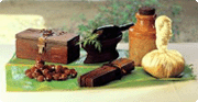 Ayurveda & Panchakarma: Tradition, Education, Practice