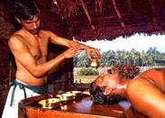 Expert Ayurvedic Clinical Training